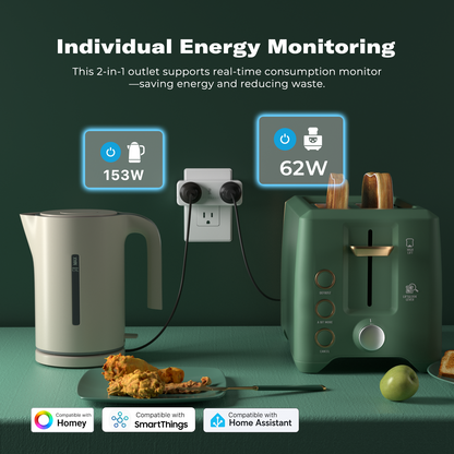 Third Reality Smart Dual Plug ZP1 – Zigbee, Home Assistant compatible